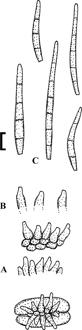 figure 133