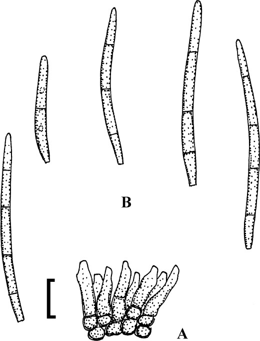 figure 136