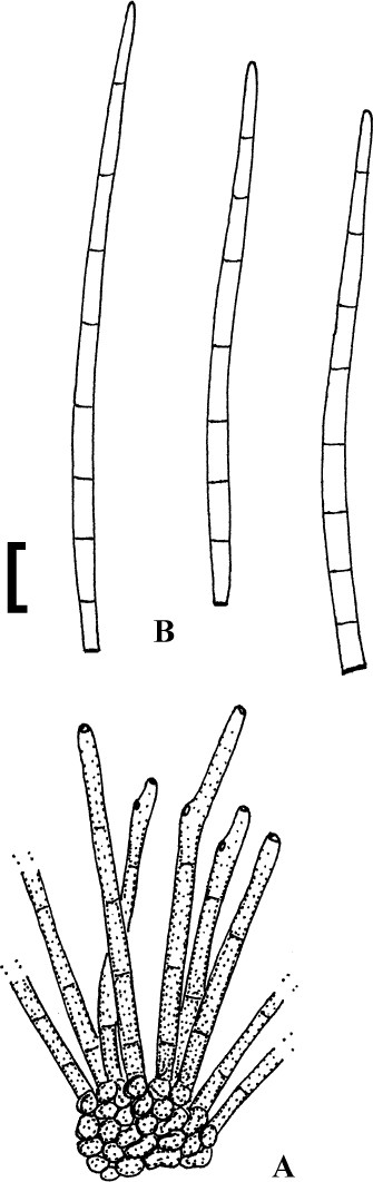 figure 142