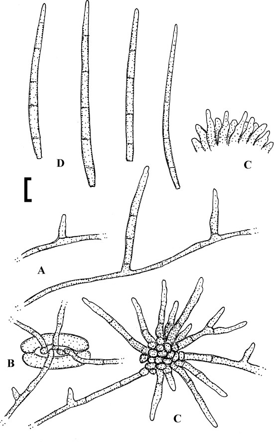 figure 146