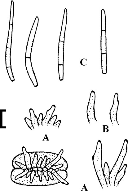 figure 154