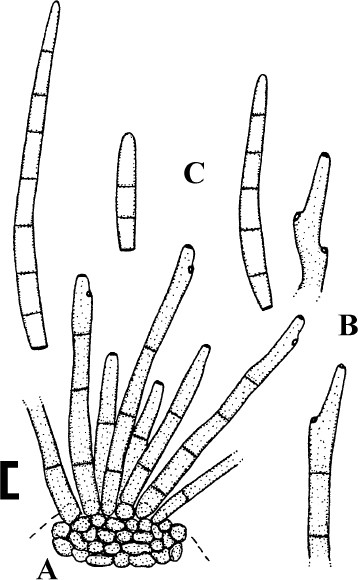 figure 156