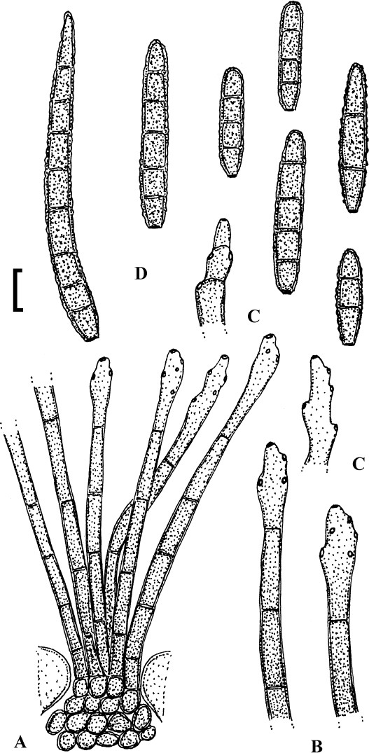 figure 165