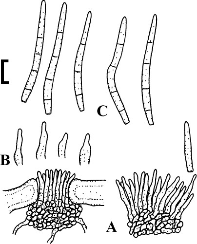 figure 172