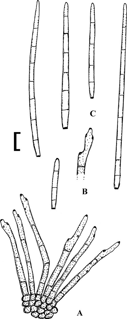 figure 175