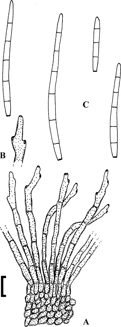 figure 177