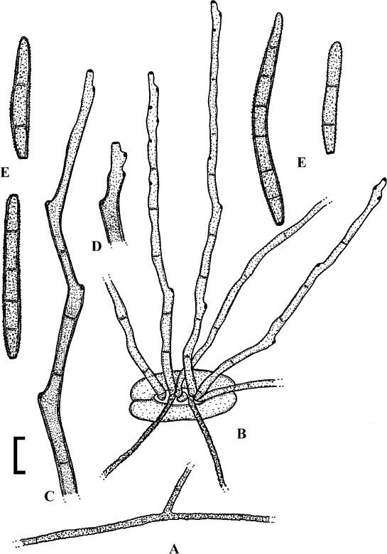 figure 188