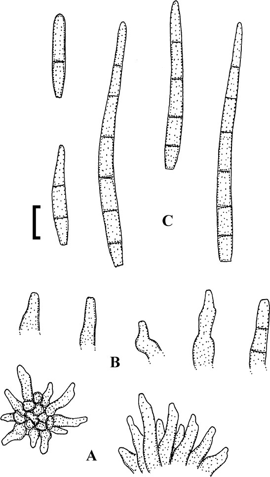 figure 27