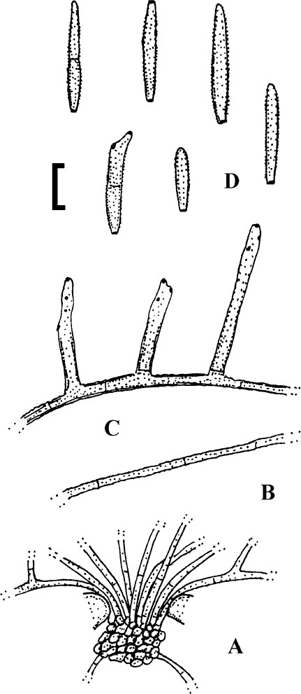 figure 37