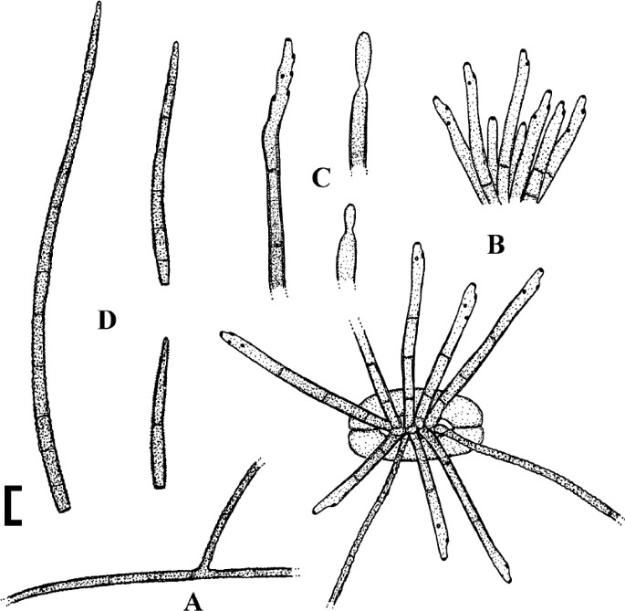 figure 38