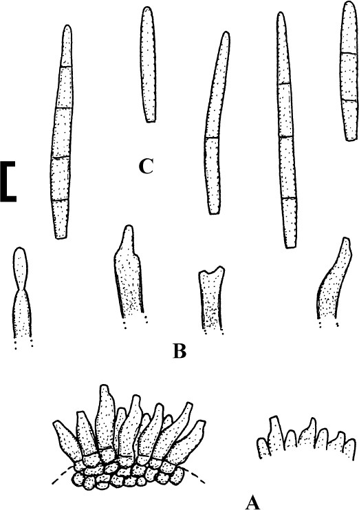 figure 46