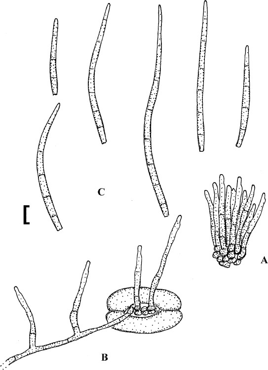 figure 79