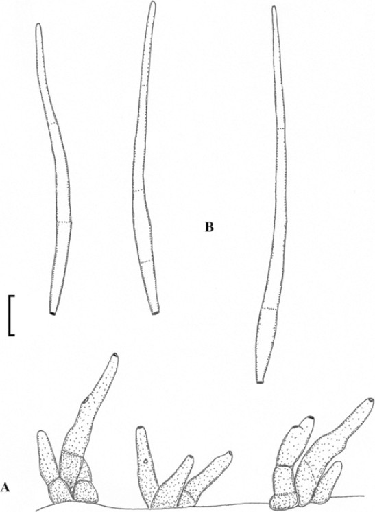 figure 19