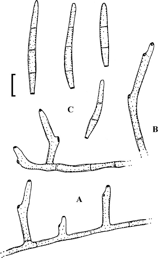 figure 57