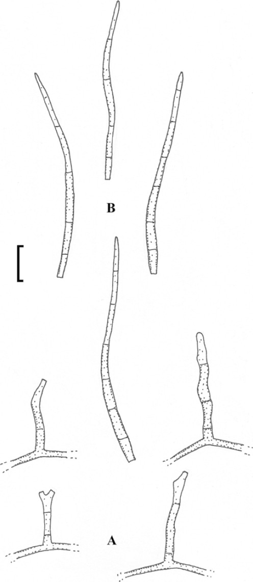 figure 63