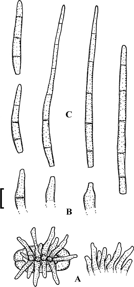 figure 27