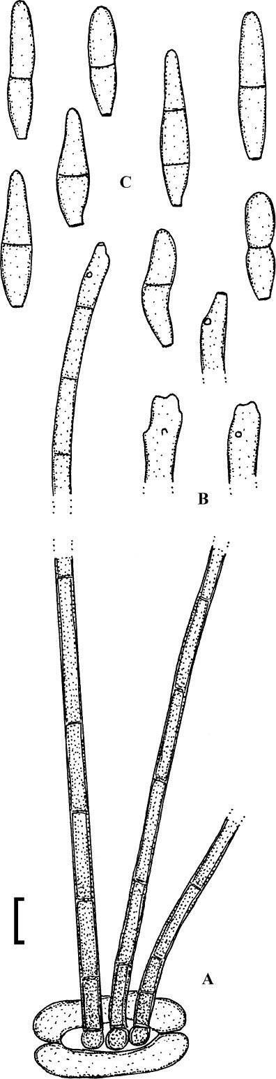 figure 39