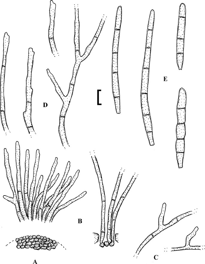 figure 41