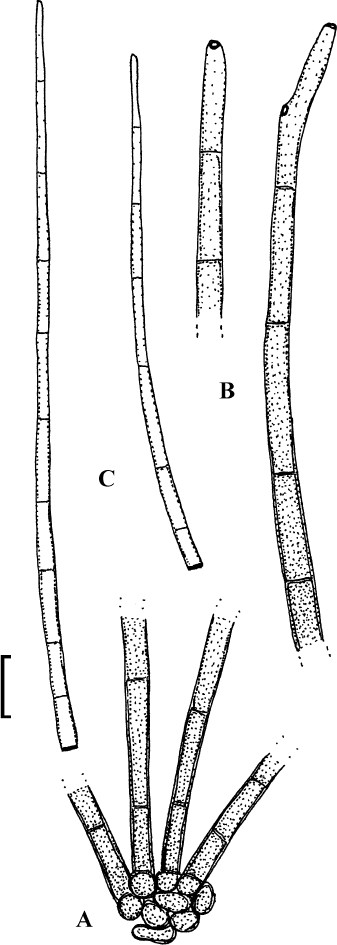 figure 59