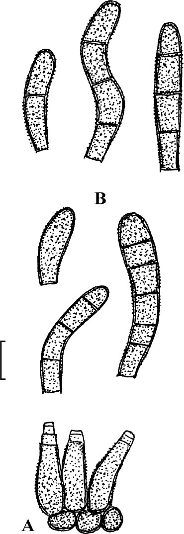 figure 28