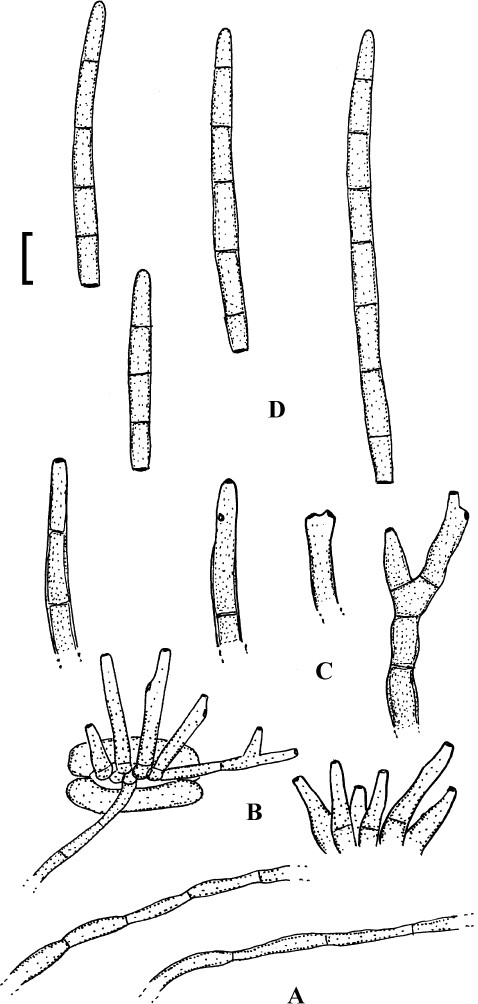 figure 34