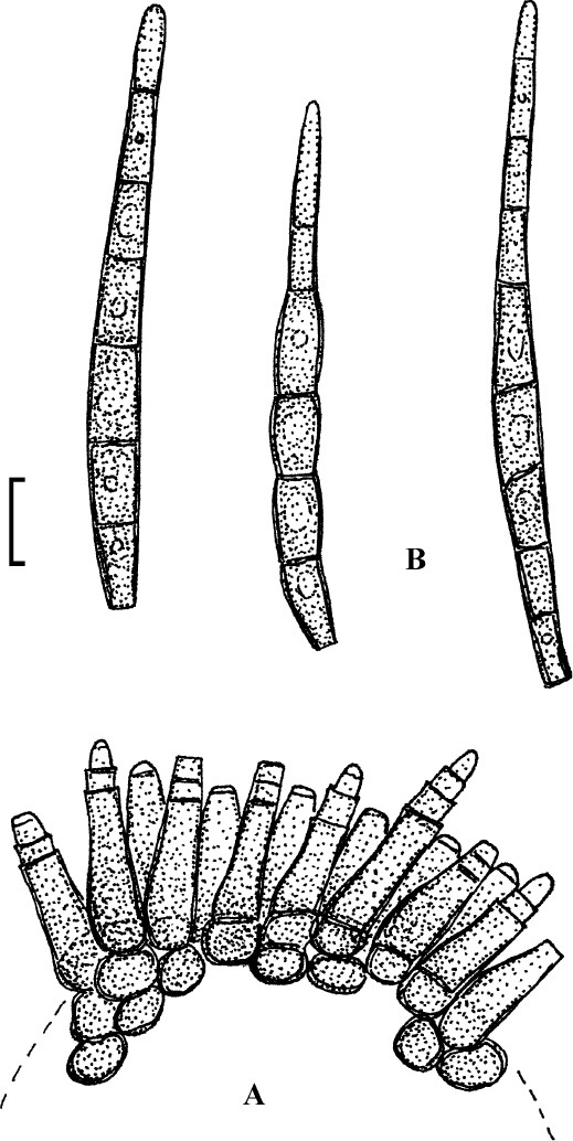 figure 47