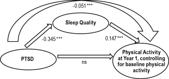 The Mediating Effect of Sleep Quality on the Relationship between PTSD ...