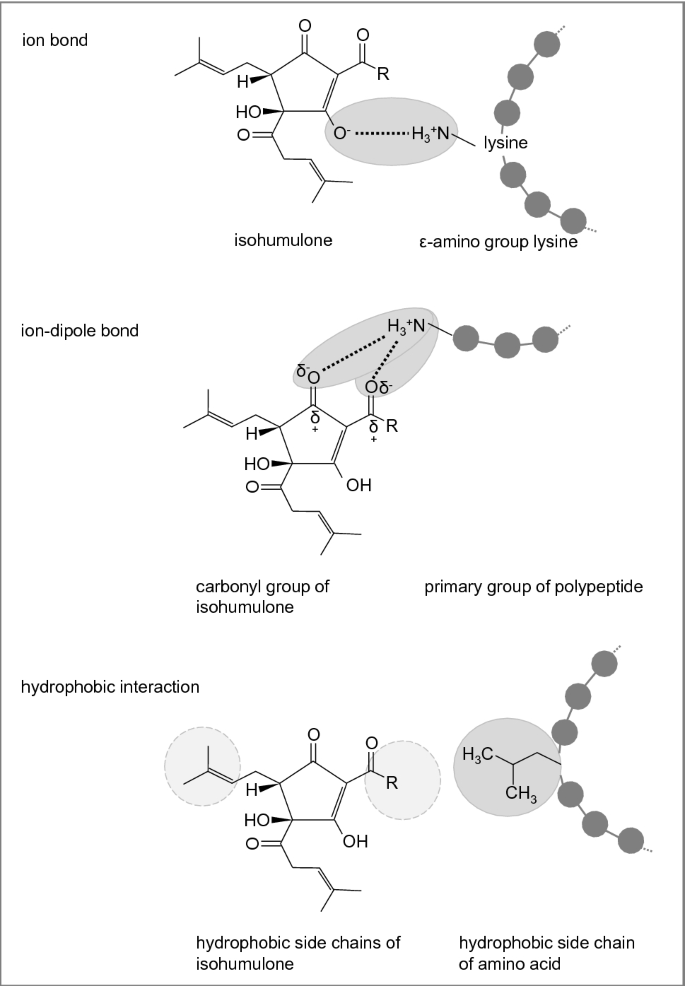 mnemonic for hydrophobic amino acids