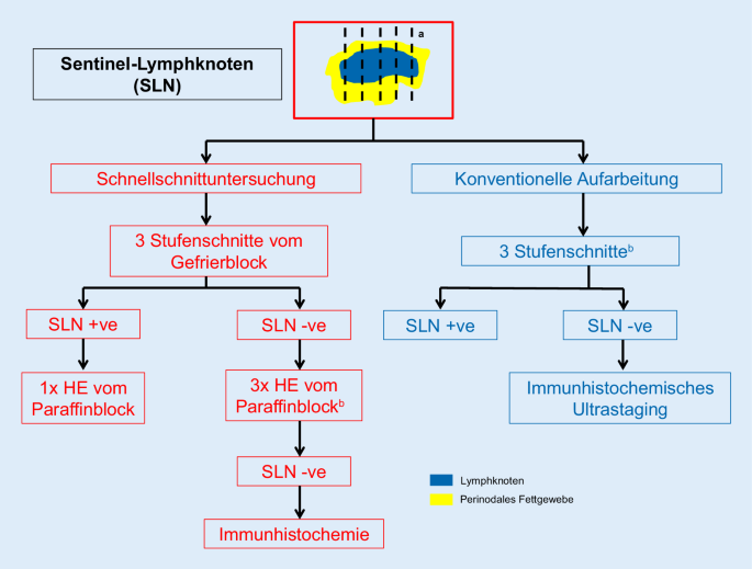 Leitlinienbasierte Aufarbeitung und Befundung von ...