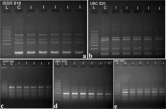 According To The Storage Ladder Protocol, Which Of The