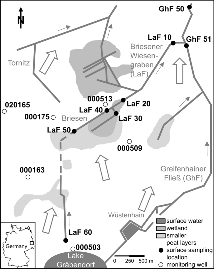 Retention potential of a drained wetland in the Lusatian lignite mining ...