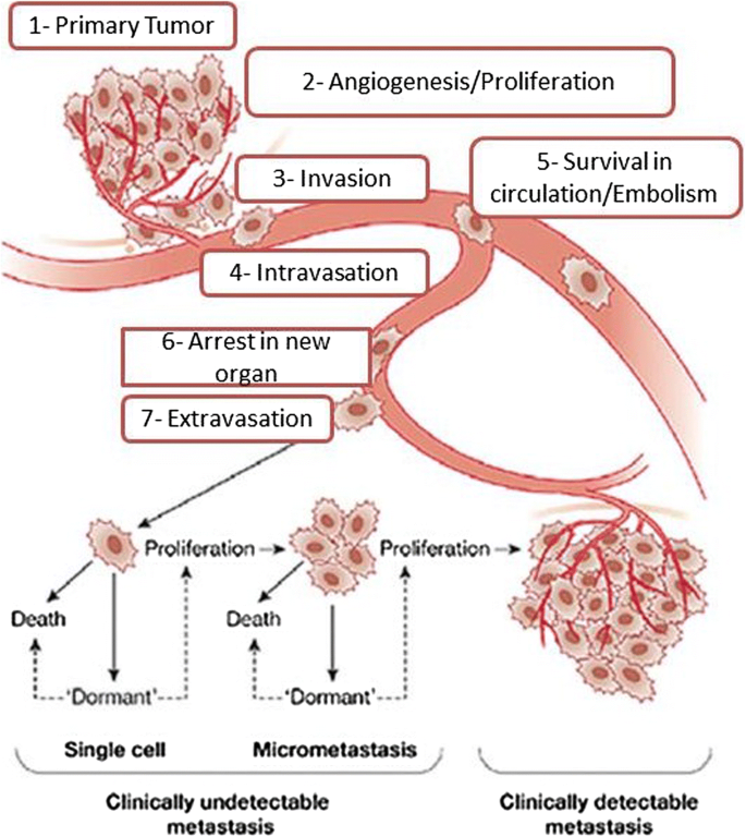 Triple negative cancer metastasis