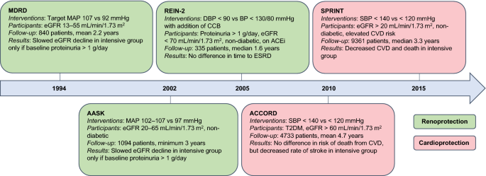 Proteinuria Nursing Intervention / Nephrotic Syndrome Nclex Review / For reasons that will not ...