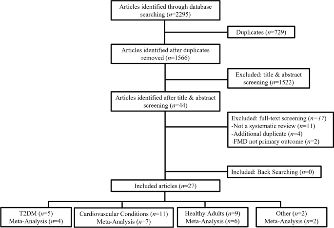 functional electrical stimulation functional electrical stimulation