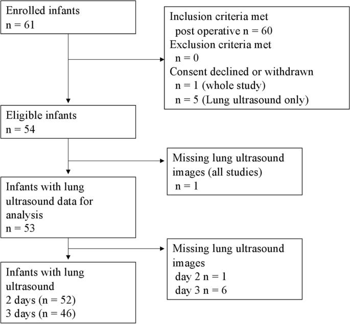 Lung ultrasound scores are not associated with subcutaneous oedema or ...