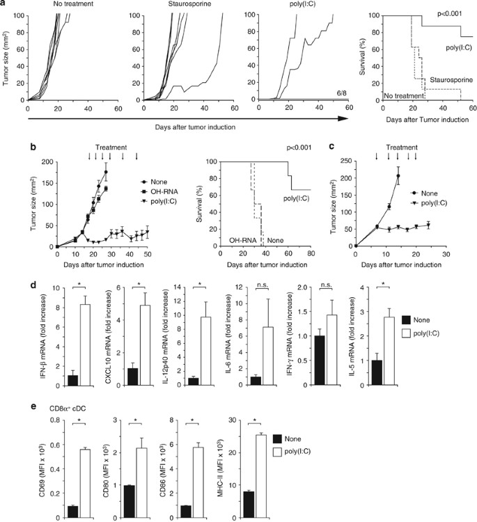 TLR3 as a Biomarker for the Therapeutic Efficacy of Double 