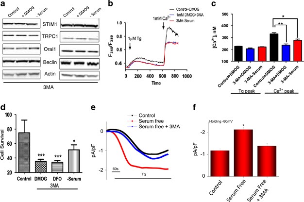 Hypoxia-activated CRFR1-mediated up-regulation of ET-1 