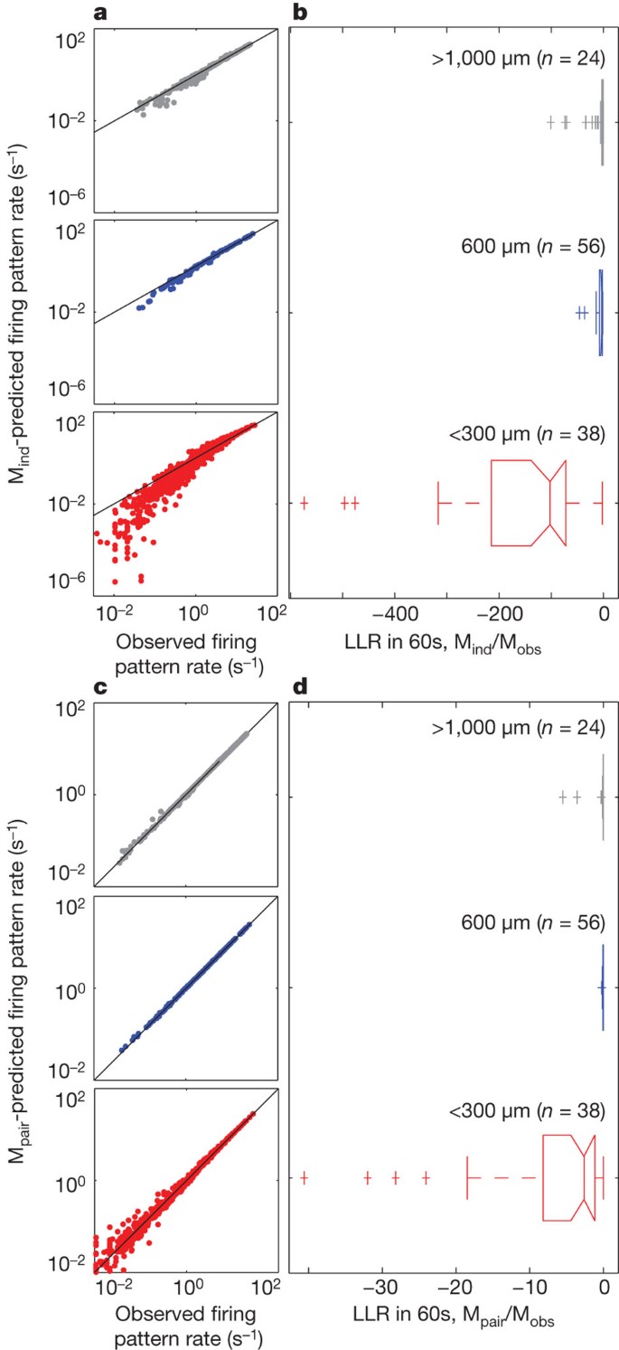Sparse coding and high-order correlations in fine-scale cortical ...