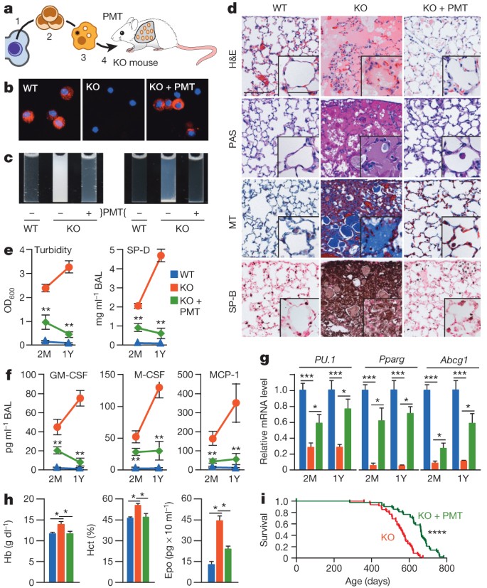 111 90 L50 204 Selep Viral Video Bokeh Baru 111 90 L50