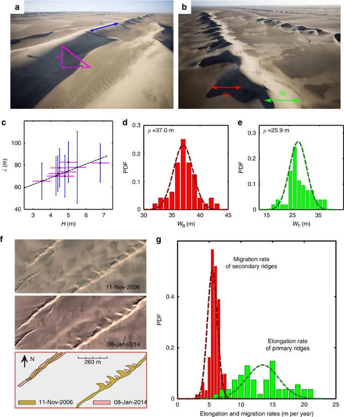 Unravelling raked linear dunes to explain the coexistence of bedforms