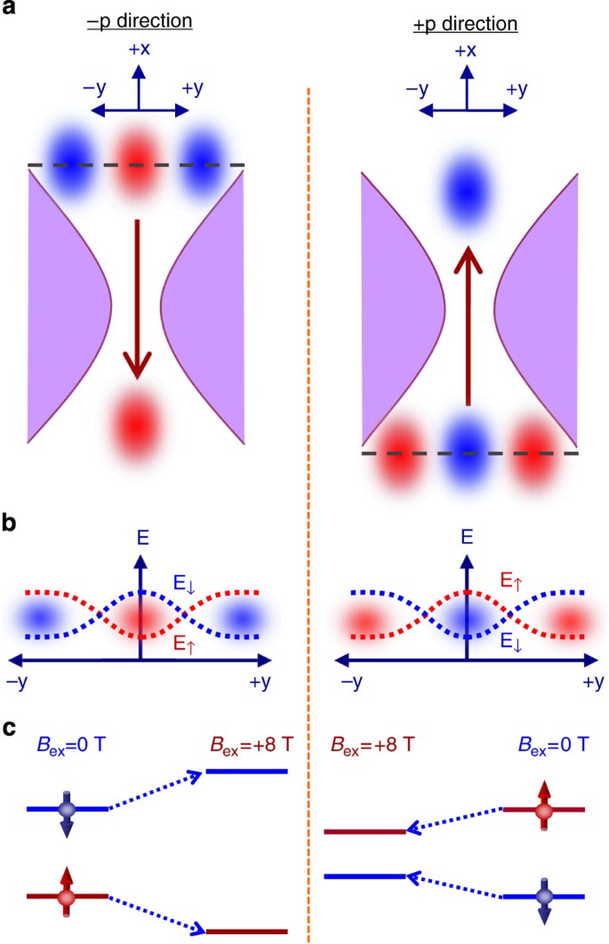 Spinorbit induced electronic spin separation in semiconductor