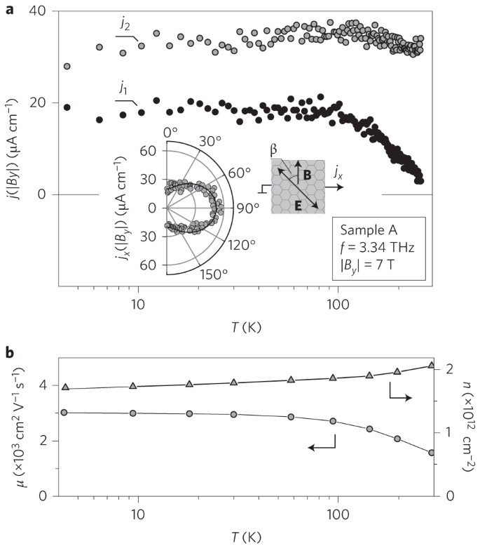 quantum ratchet effect in graphene Nature Nanotechnology