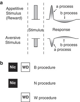 Dopaminergic Signaling Mediates the Motivational Response 