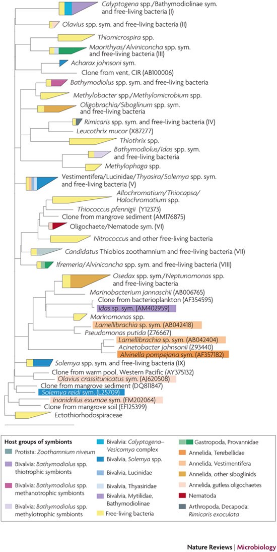 Chemosynthesis database 03 image