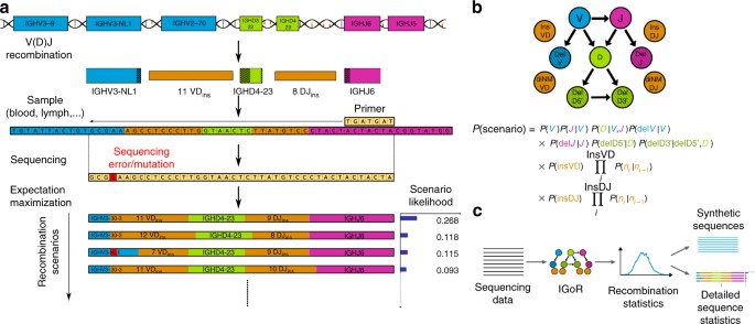 sequencing immune repertoire
