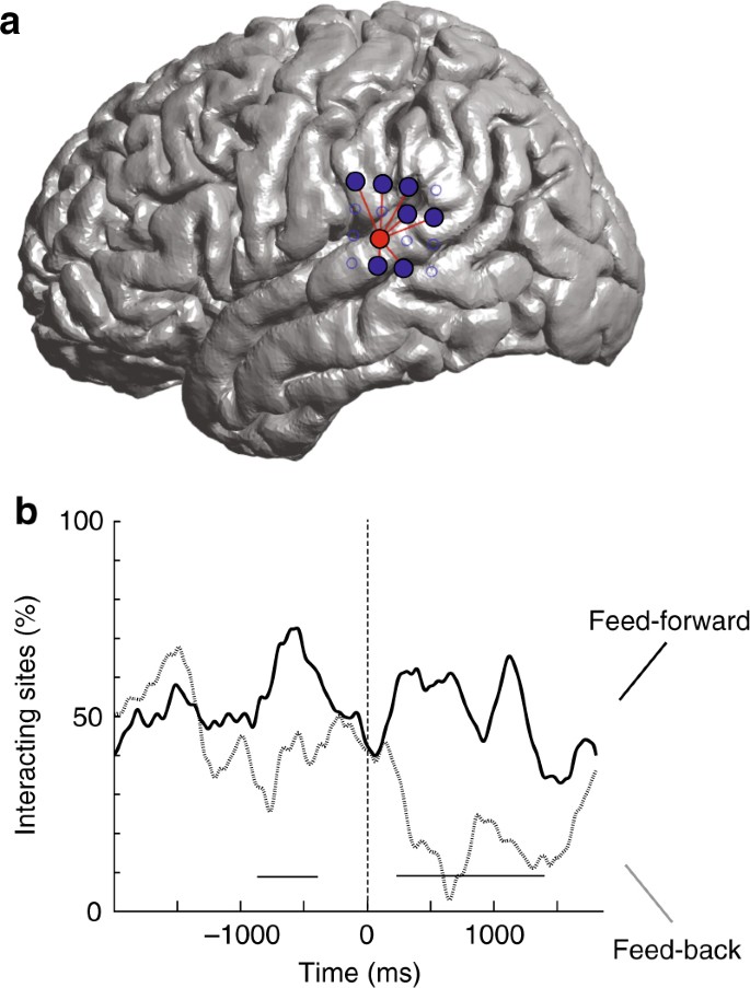 Functional Morphem - Functional Morphem / Stimulation of focal sites ... _ Maybe you would like to learn more about one of these?