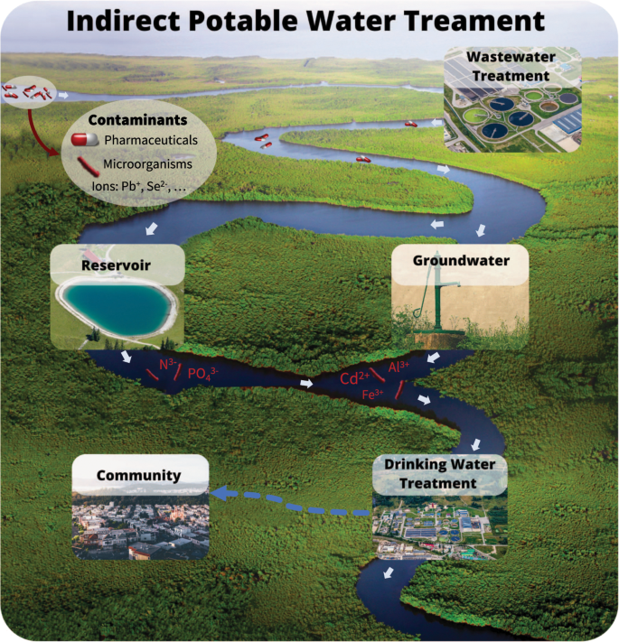 What Organisms Break Down Chemical Wastes In A Treatment