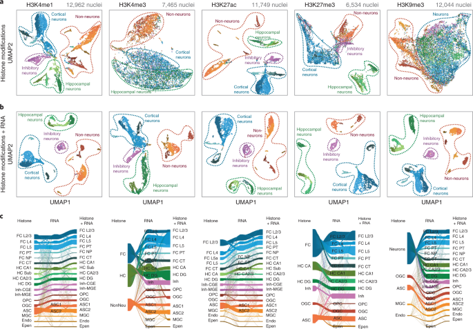 Care A Cell Joint Account Mechanisms Of Infective