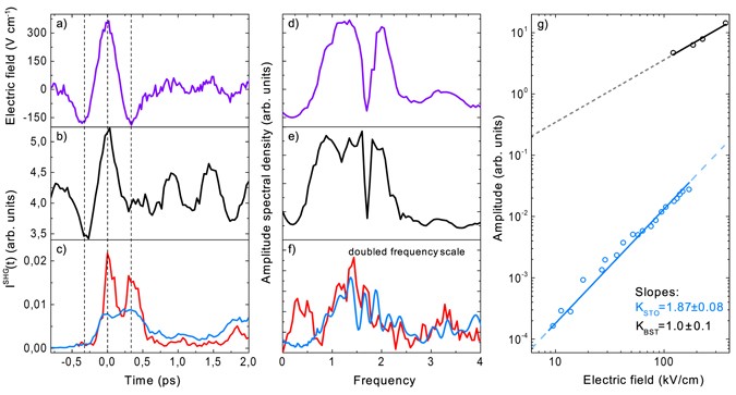 THz Electric Field-Induced Second Harmonic Generation in Inorganic ...