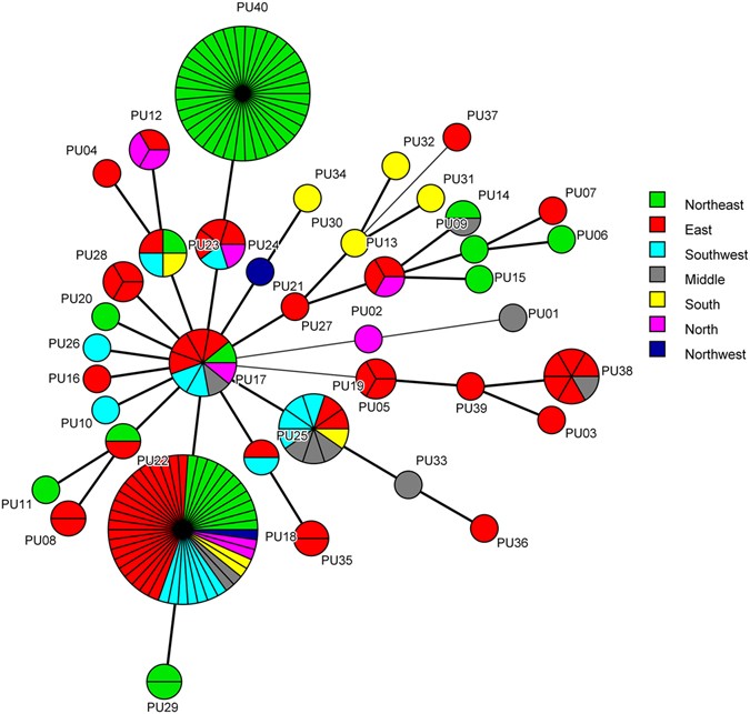 Molecular epidemiology and azole resistance mechanism study of Candida ...